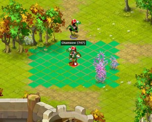 Dofus Chameow cra air level 70