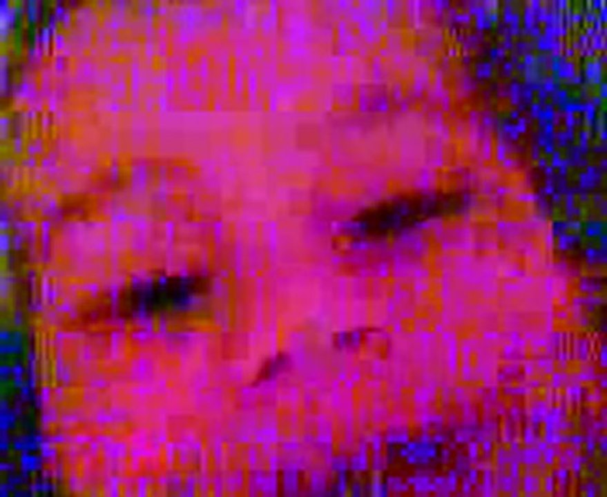 23042010329