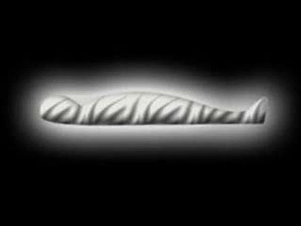 La vie après la Mort pt 1 Islam