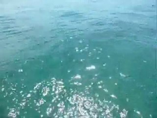 orgues marines Zadar