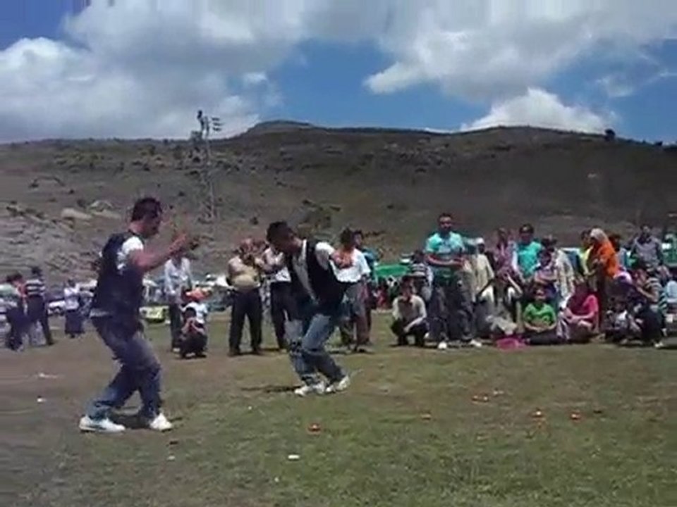 DEDEMLİ 2010 ŞENLİK