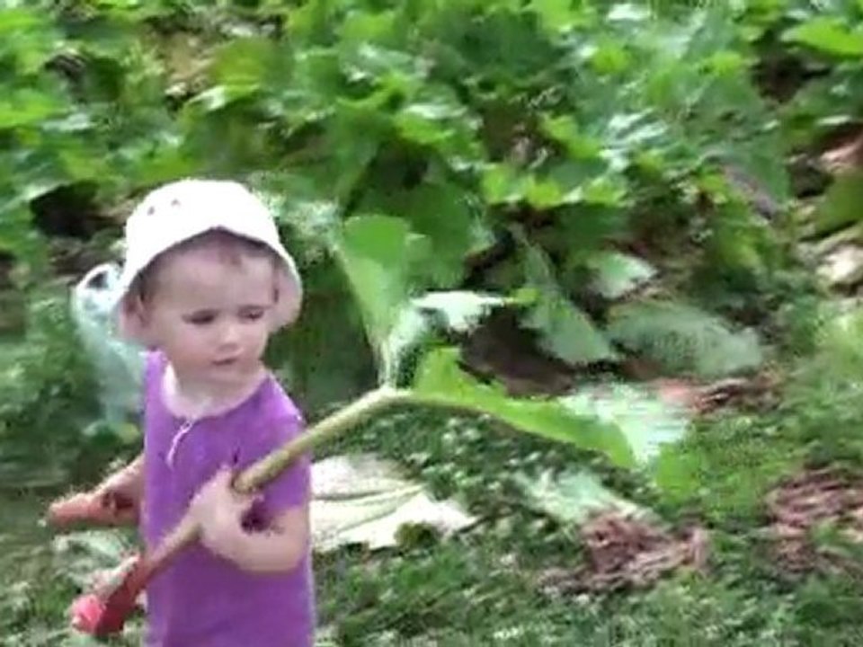 Petite Louise et la rhubarbe