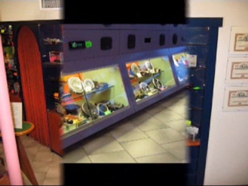 L.S. CAR AUDIO - HI-FI CAR TUNING