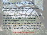 Texas Exotic Hunting - What exotics do you have at Dos Plum