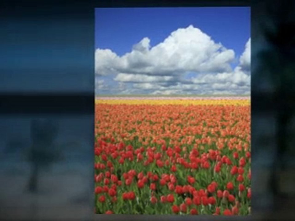 Blueprints to Profits by Paul Lemberg