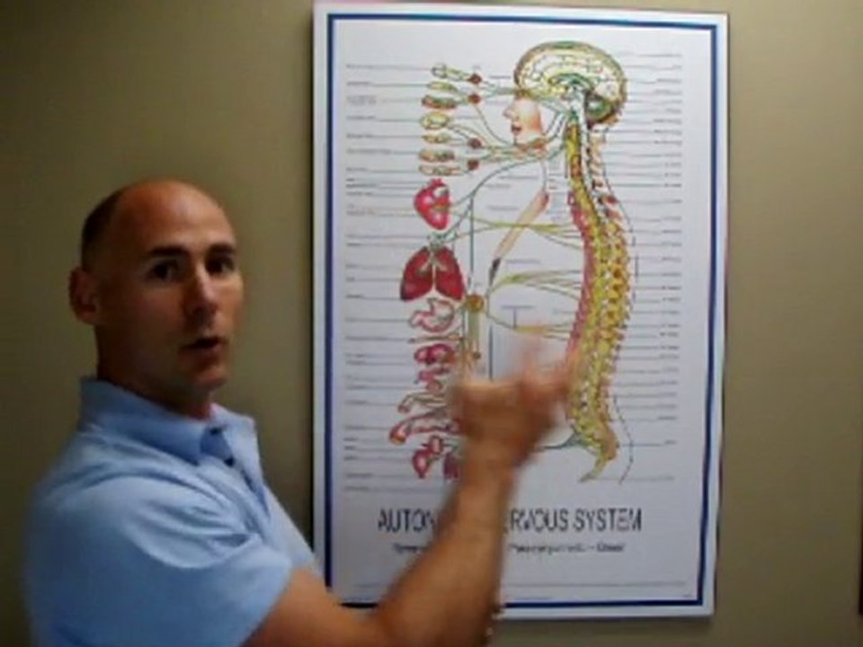 Chiropractic Care Explained