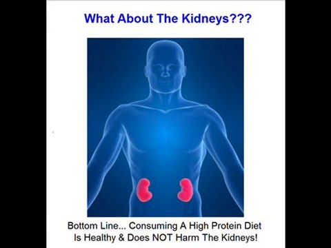 Bodybuilding Supplements Guide - Part 2 - Protein