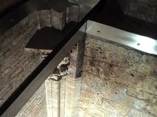 David Ellzey: Truth, Beliefs, & The Unlimited You