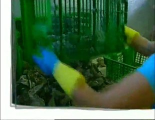 Ma vie est une aventure avec Grégory Coutanceau Partie 1