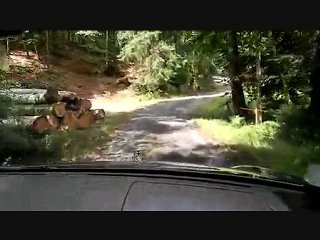 Balade en Auvergne avec 210