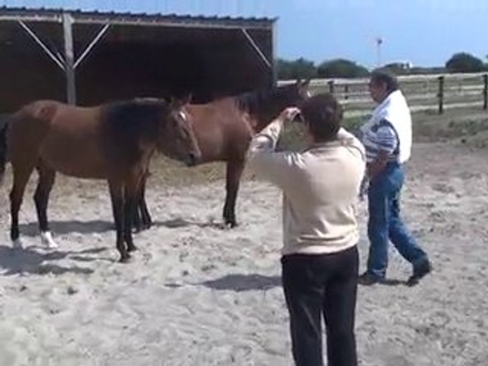 des associes avec toundra du bouffey