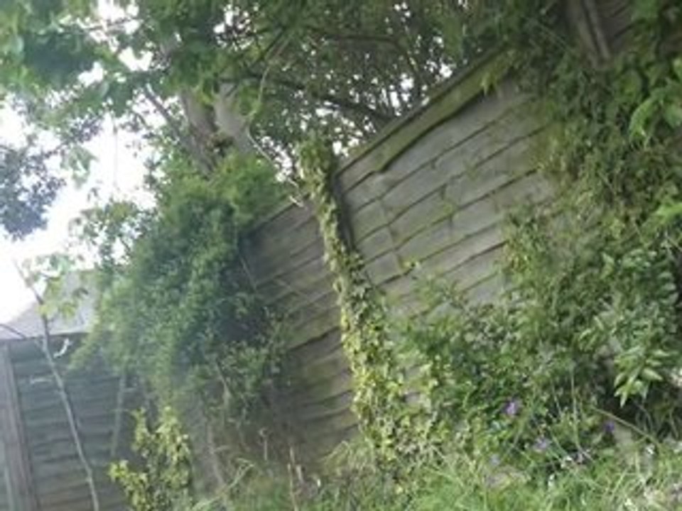 Voyage a londre- pattern c26