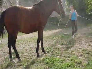 Koura en longe, 3ème séance