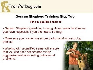 How To Train Your German Shepherd As A Guard Dog