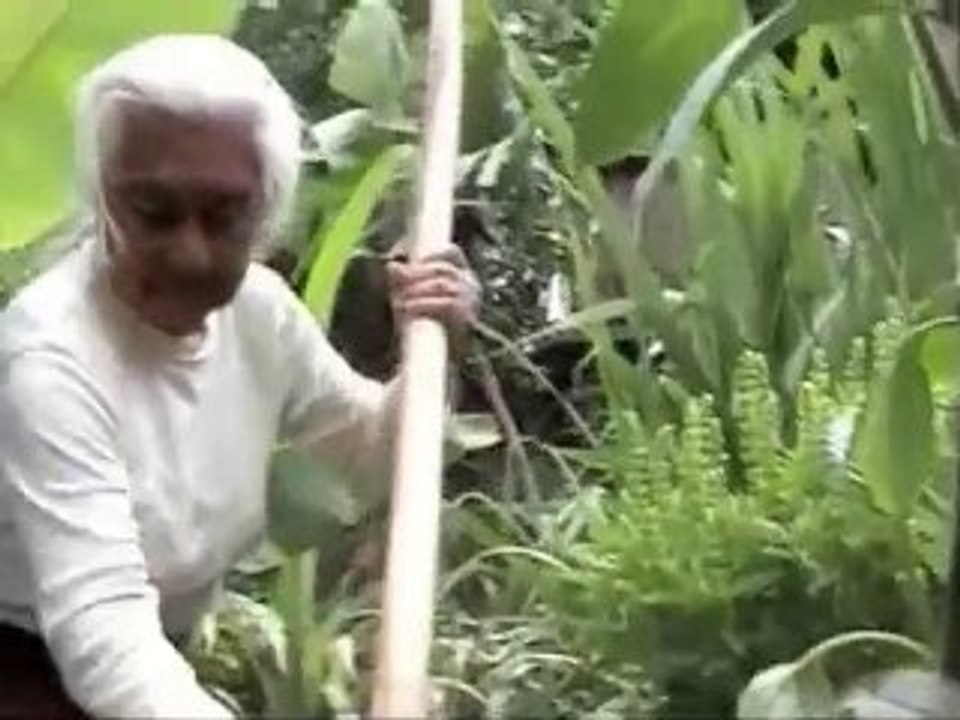 Buchtrailer 'Im Tal der Hundertjährigen'