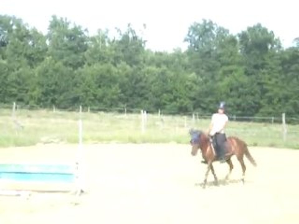 Suite sarah & frip