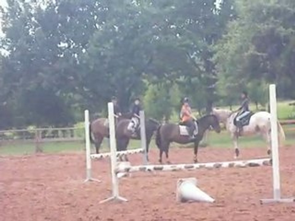 Petite séance d'obstacle du samedi aprém