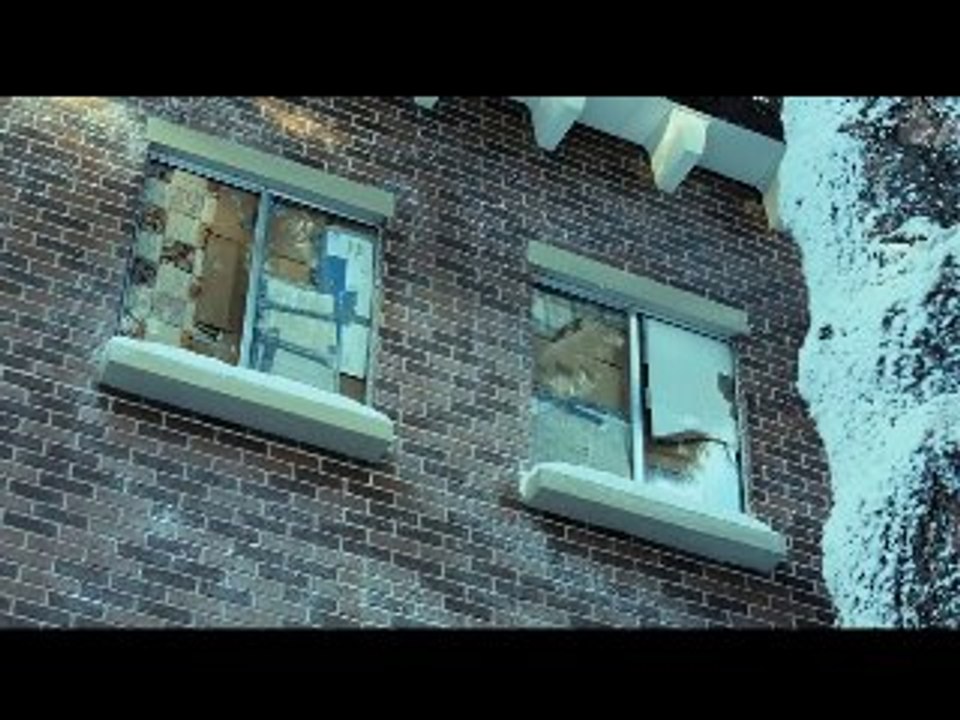 LET ME IN : Bande-annonce [HD-VO]