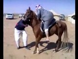 Arap atı devirirse