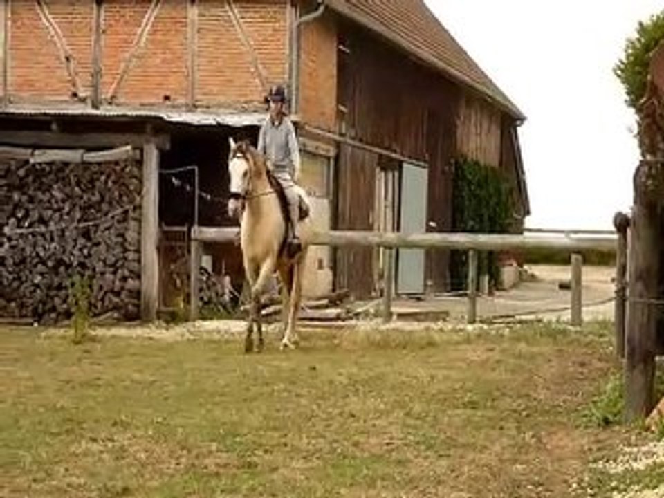 Tango - déplacements hanches