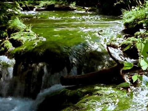 DreamScene Masaüstünde Irmak Windows Vista Ultimate Windows7