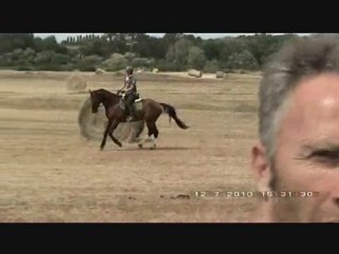 stage rodolphe scherer dressage marais