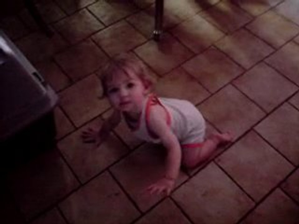 loris qui fait du 4 pattes