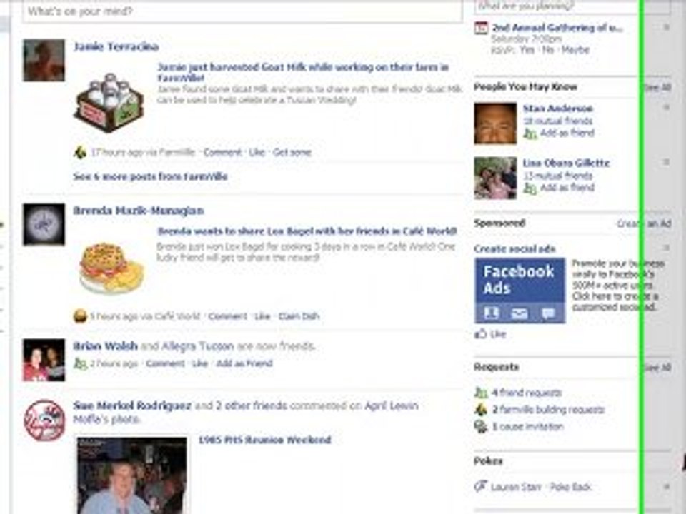 Skins For Facebook