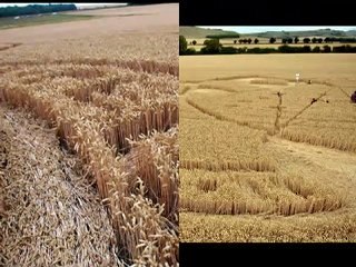 Crop Circle 26 Juillet 2010  East Field Wiltshire GB