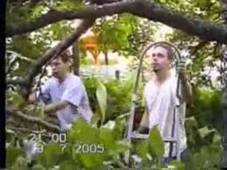 régis coupe une branche