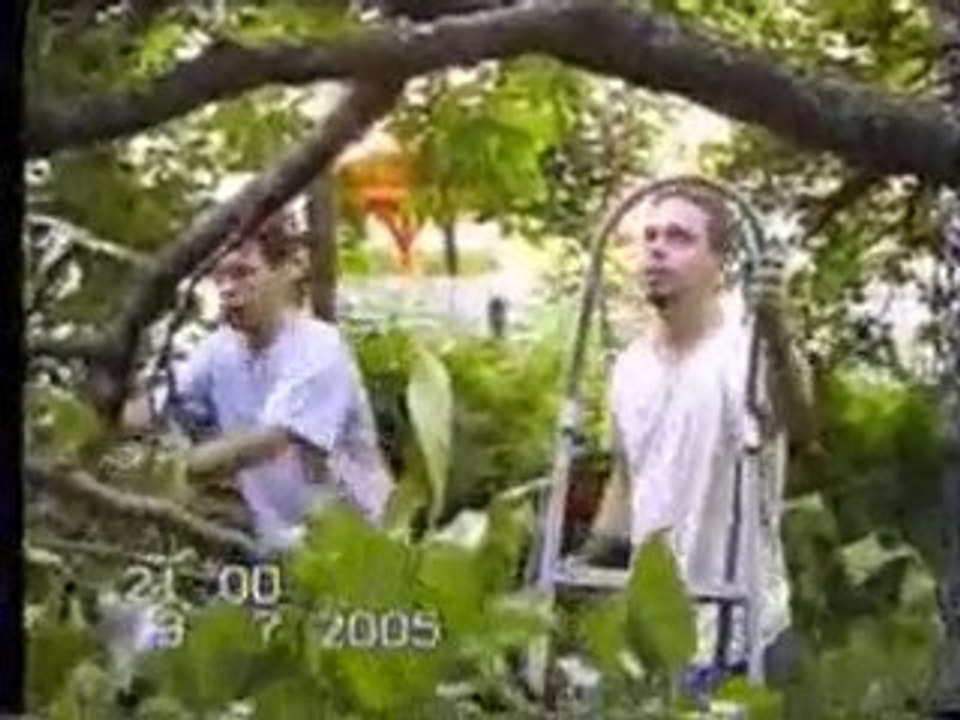 régis coupe une branche