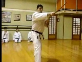 Karate Bo - Una Demostracion En El Dojo