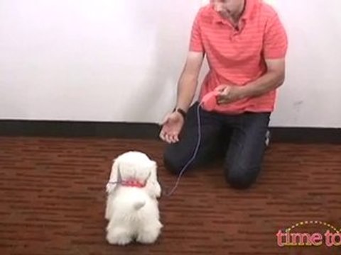 Hasbro's FurReal Friends Gogo, My Walkin' Pup