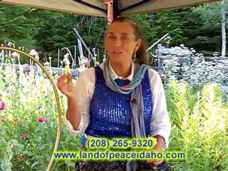 Organic Healing Oils - Evening Primrose