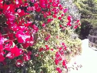 iphone 4 video test and imovie app demo