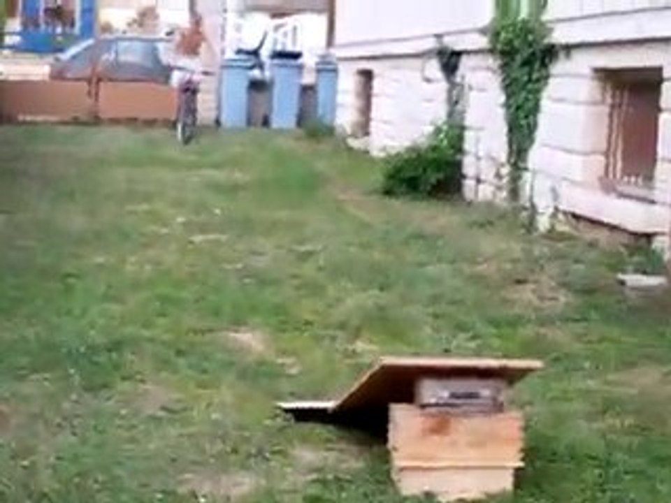 saut de skate park 3