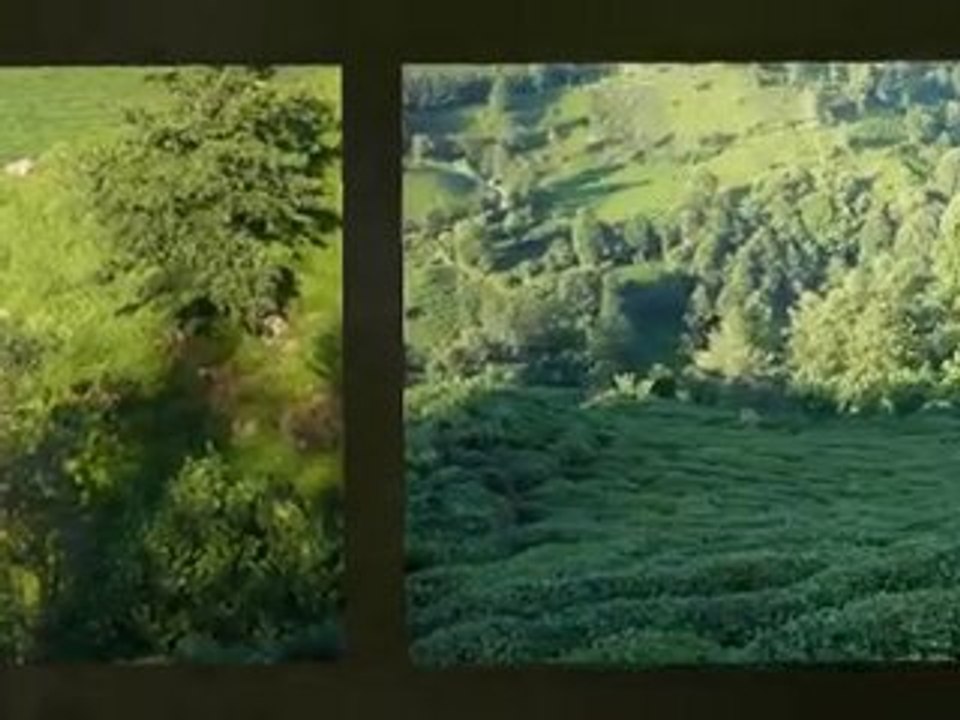 Rizem için...