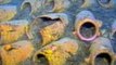 Scientists Find Ancient Wrecks off Italian Coast