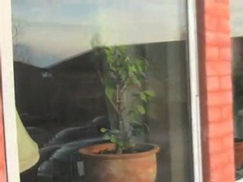 Vinduespolering Sjælland Hillerød Nordsjællands ...