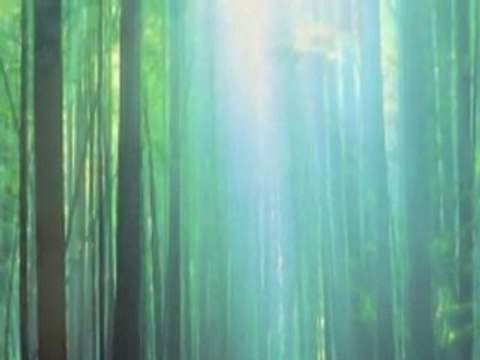 Zoneterapeuter Syddanmark Fredericia Klinik V.I.B.E