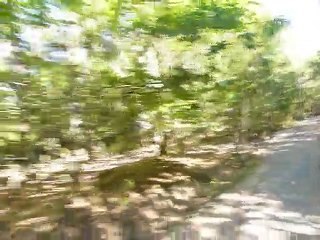 Juillet 2010 - Center Parc - Tous en vélo