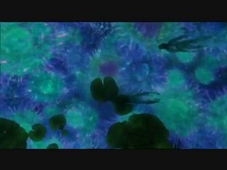 Parodie d'Avatar : Barbie et Ken en folie