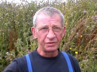 Malaise des paysans à la plaine de Lauwin Planque