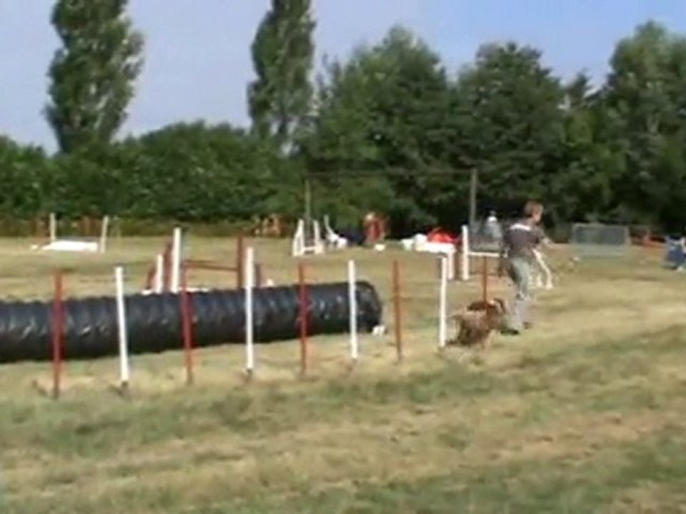 Cirius jumping