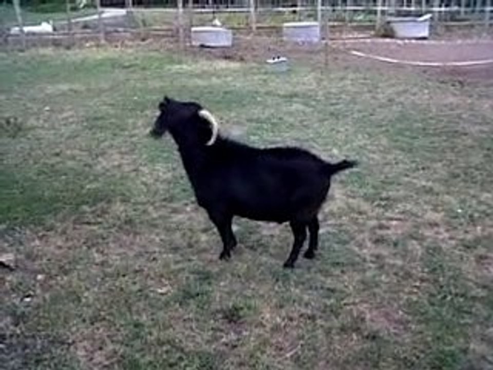 VID 00041-20100728-2128.3GP