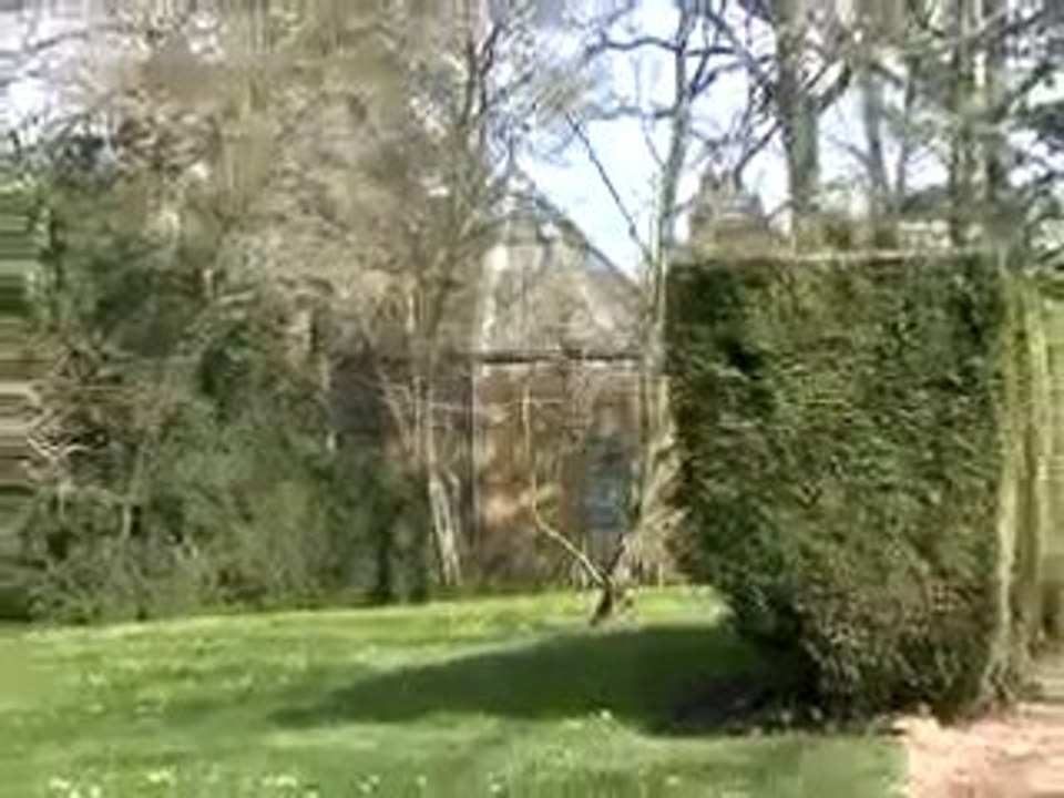 Le CAUE d'Eure-et-Loir fait son cinéma !