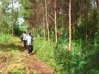 Draft FGLG Intro 290710-desktop