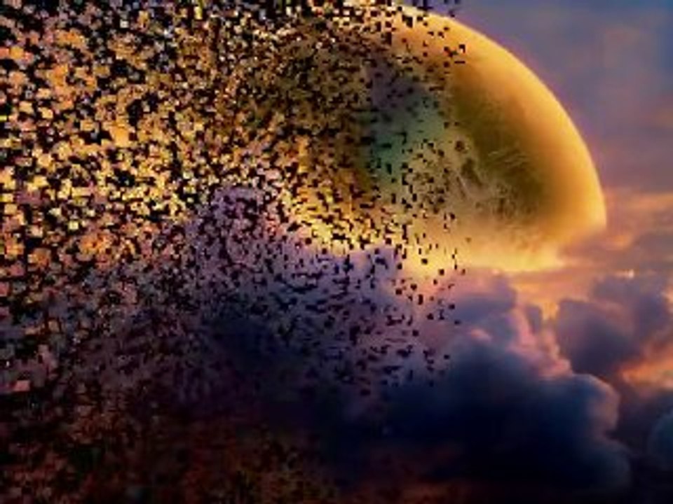 They contemplates the universe - kids coconutz