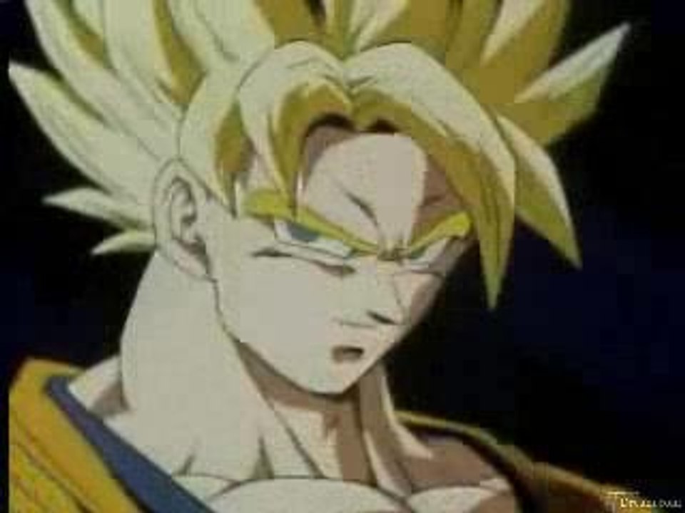 Memoriale PS1 DBZ