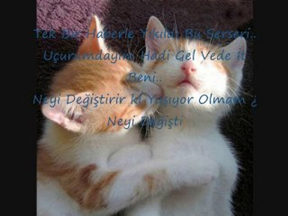 Tek Gözyaşına Silerim Herkesi ! BitaneMe